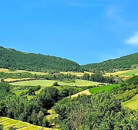 Campanile 3*